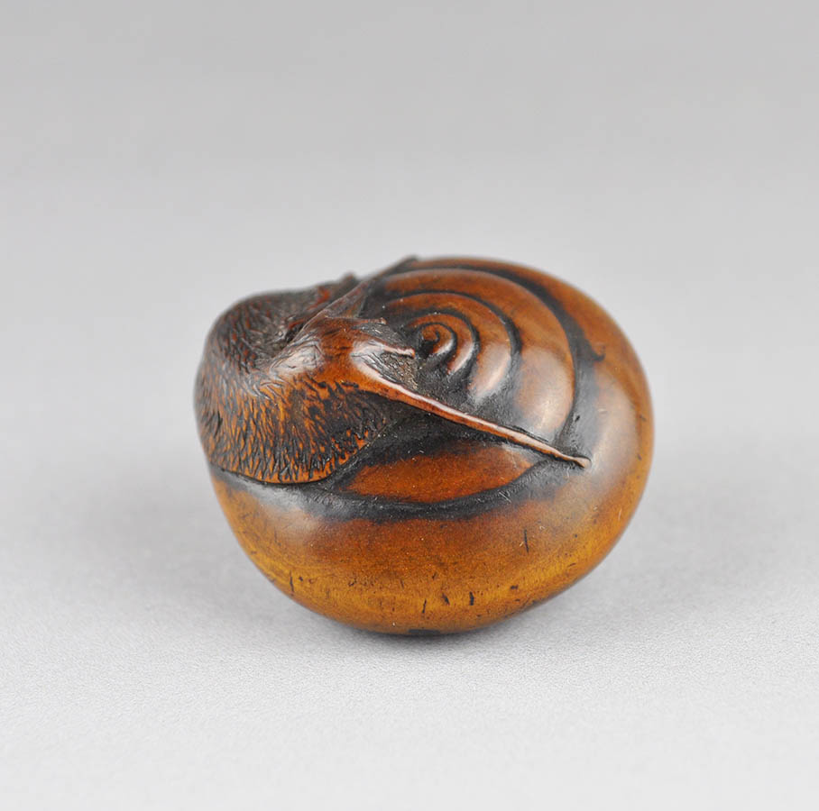Snail Snail