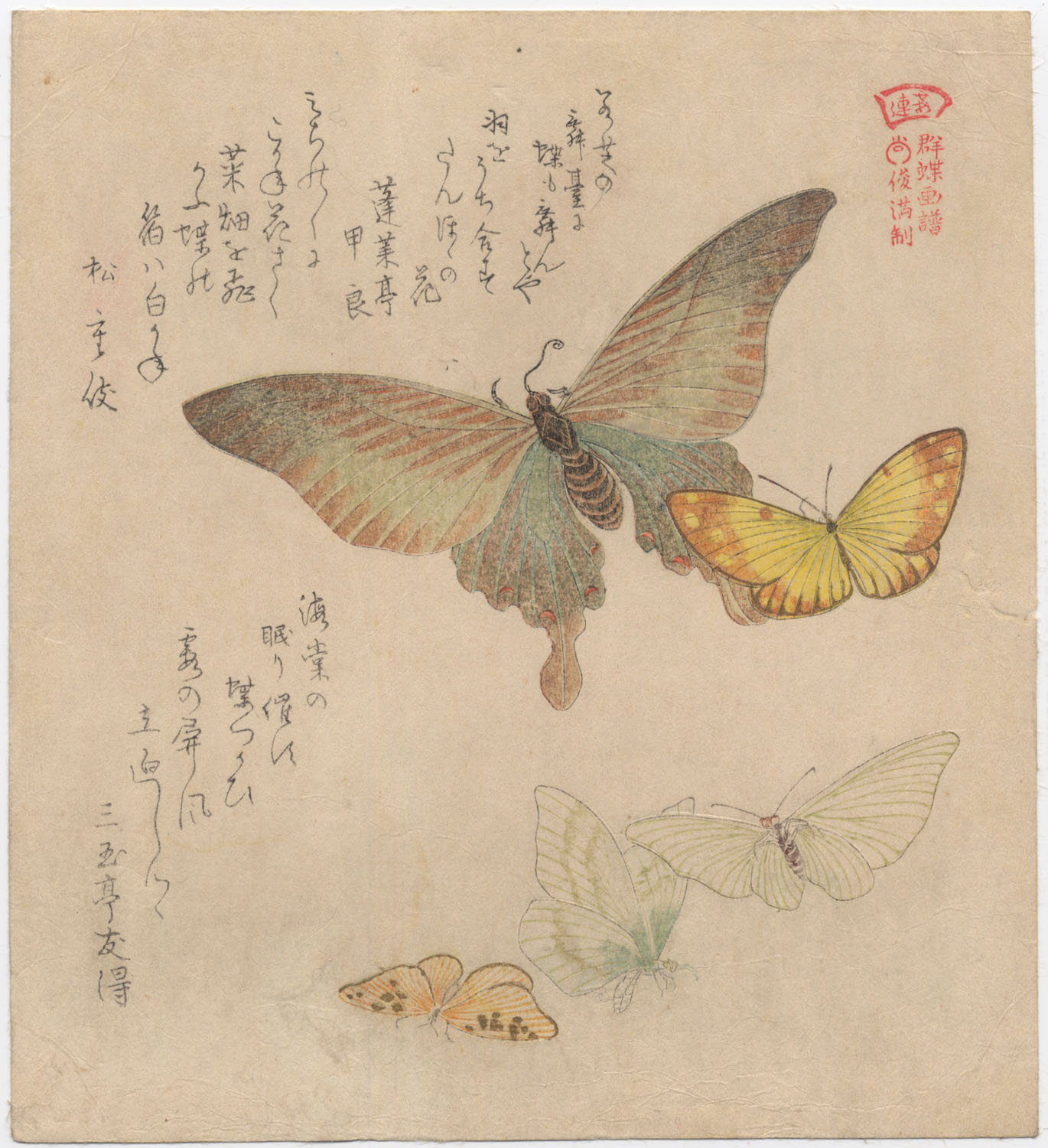 SHUNMAN  (1757–1820). Five butterflies. (Sold)