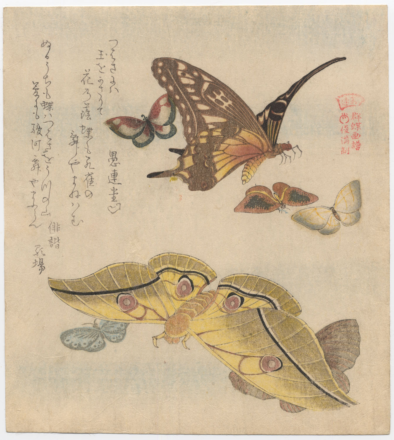 SHUNMAN  (1757–1820). Seven butterflies. (Sold)