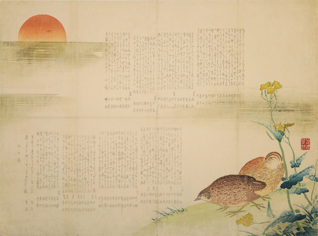 KOCHU. Two quails at sunrise KOCHU. Two quails at sunrise