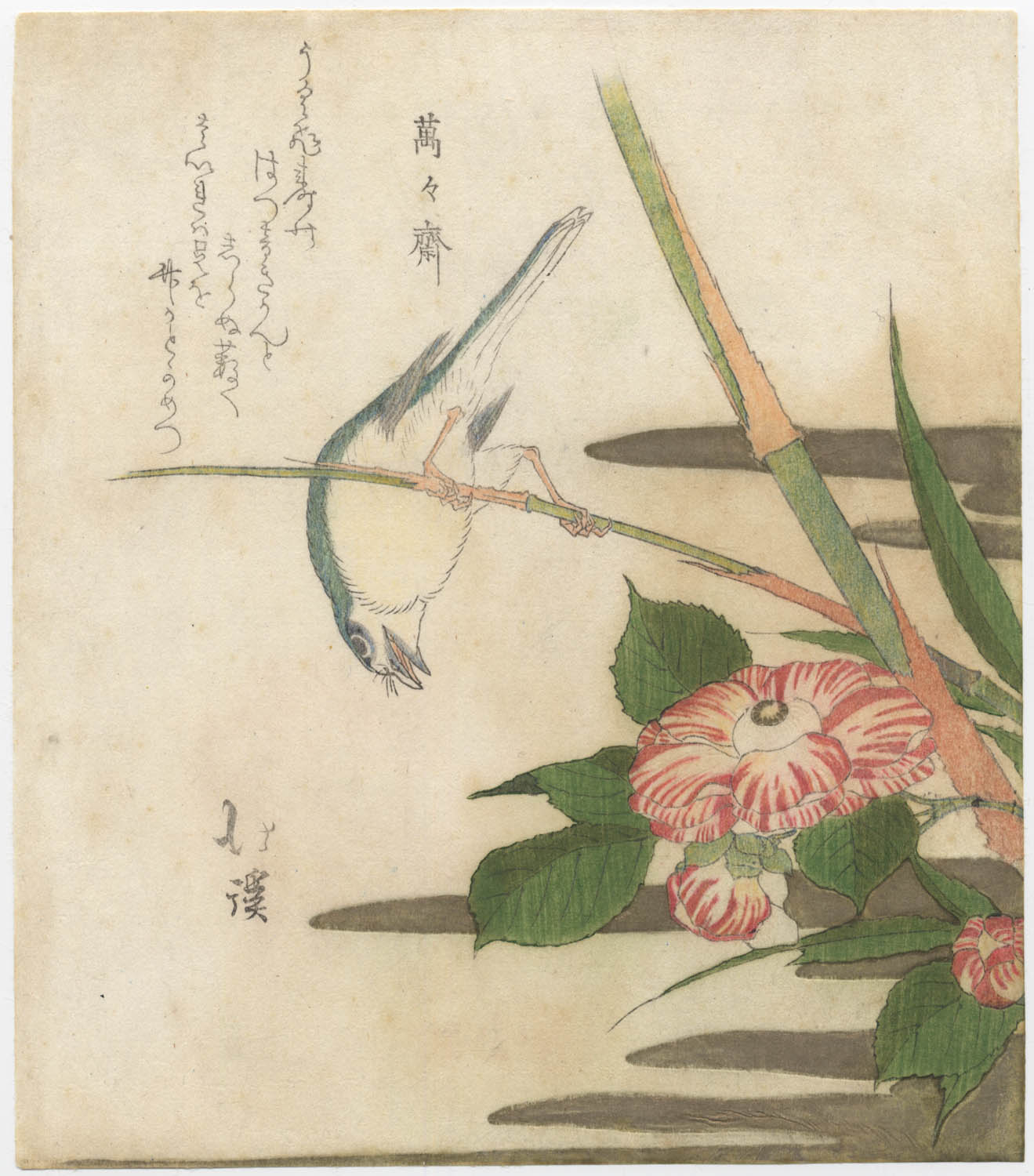 HOKKEI  (1780-1850). Nightingale and camellia (Sold)