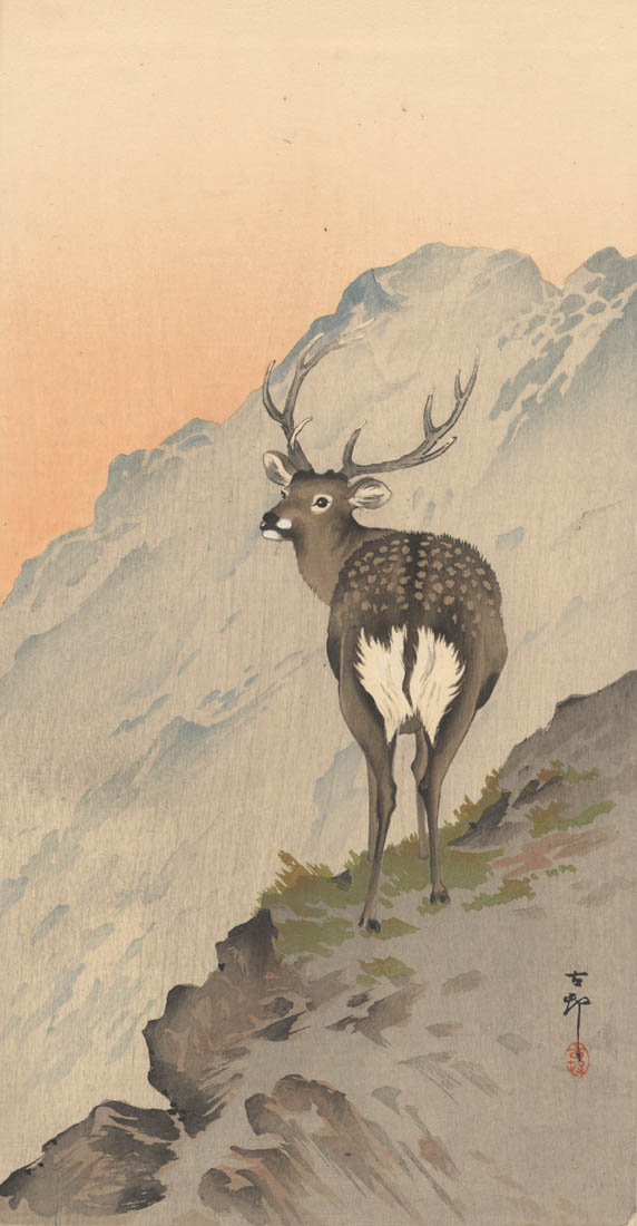 KOSON (1877-1945). A Deer KOSON (1877-1945). A Deer
