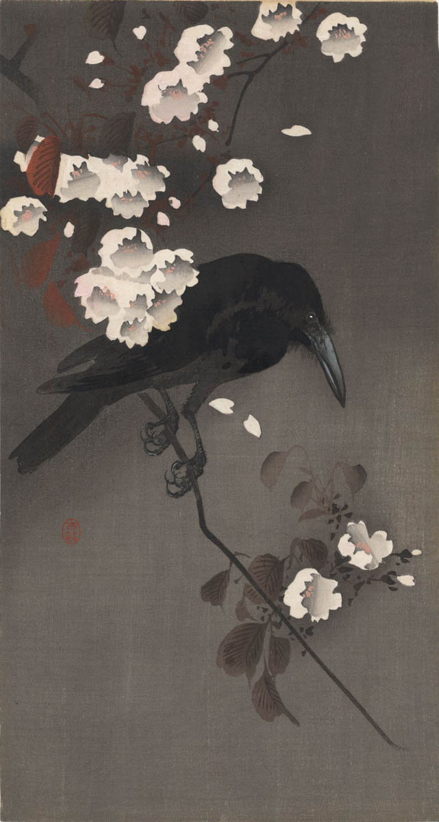 KOSON (1877-1945). A crow on cerry branch KOSON (1877-1945). A crow on cerry branch
