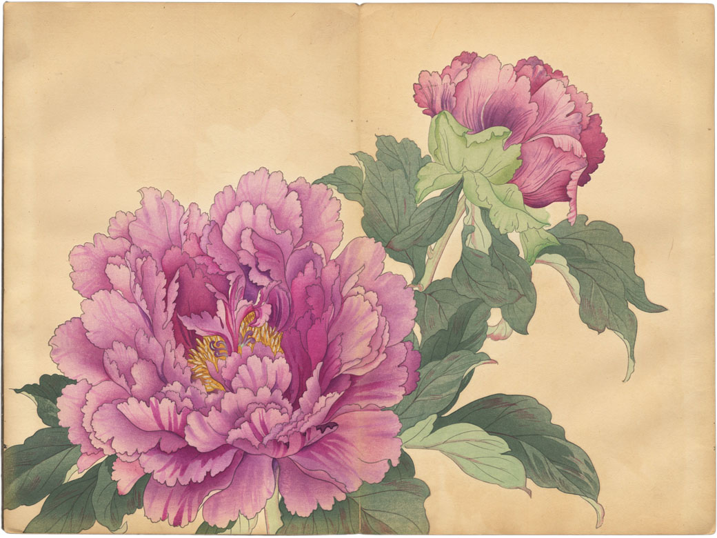 TANIGAMI KONAN (1879-1928). Shokei kakicho TANIGAMI KONAN (1879-1928). Shokei kakicho