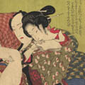images/15_icone_catagories/Icone_libri/shunga_books.jpg